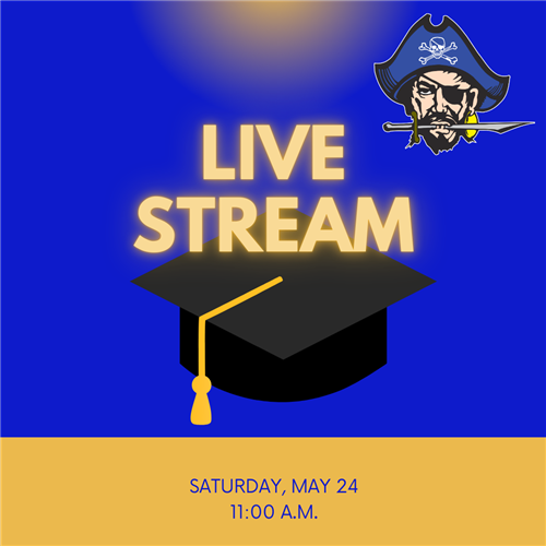 live stream